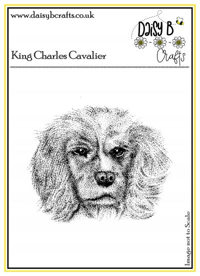 King Charles Cavalier