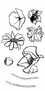 Florals Polymer Stamps