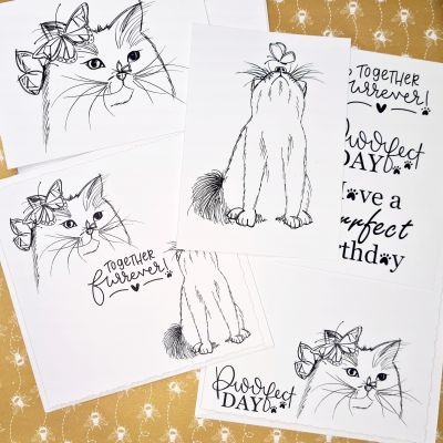 Puuuurfect Whiskers Printed Pack