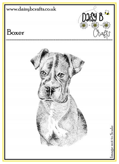boxer dog image