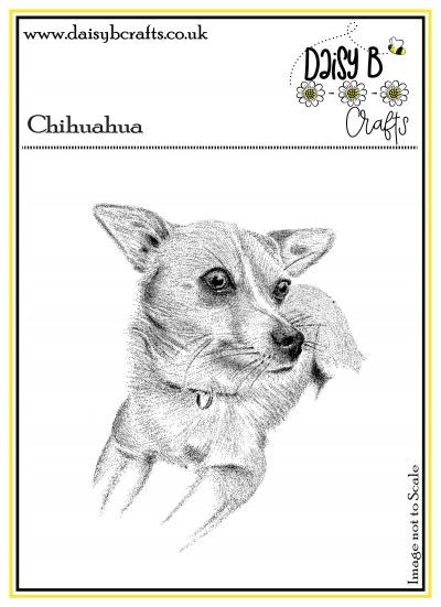 Chihuahua Image