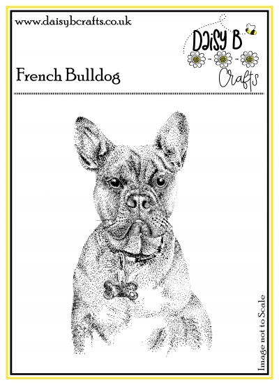 french bulldog image
