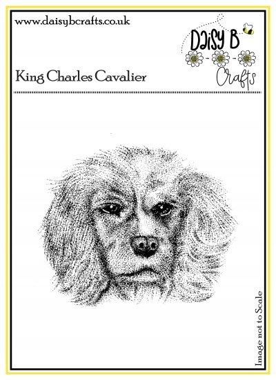 King Charles Cavalier