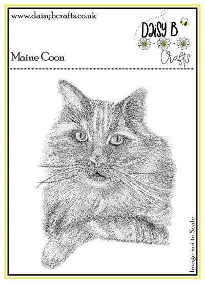 Maine Coon Cat Image