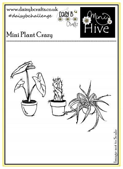 Plant Crazy Mini