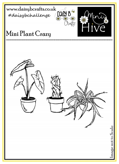 mini plant crazy