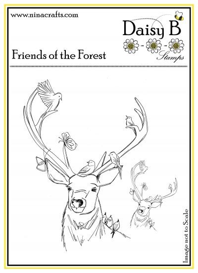 Friends of the Forest