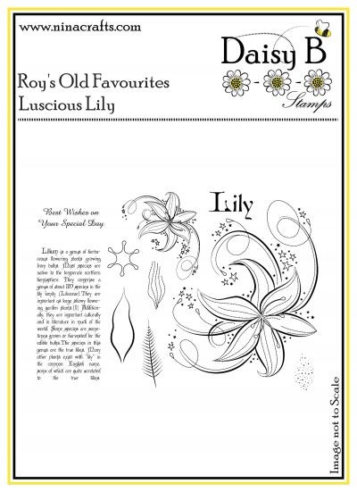 Roy Old Favourites- The Luscious Lily
